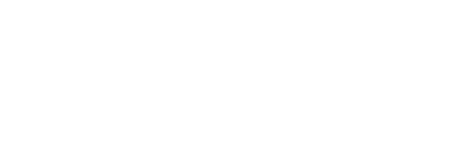 True North Beef logo